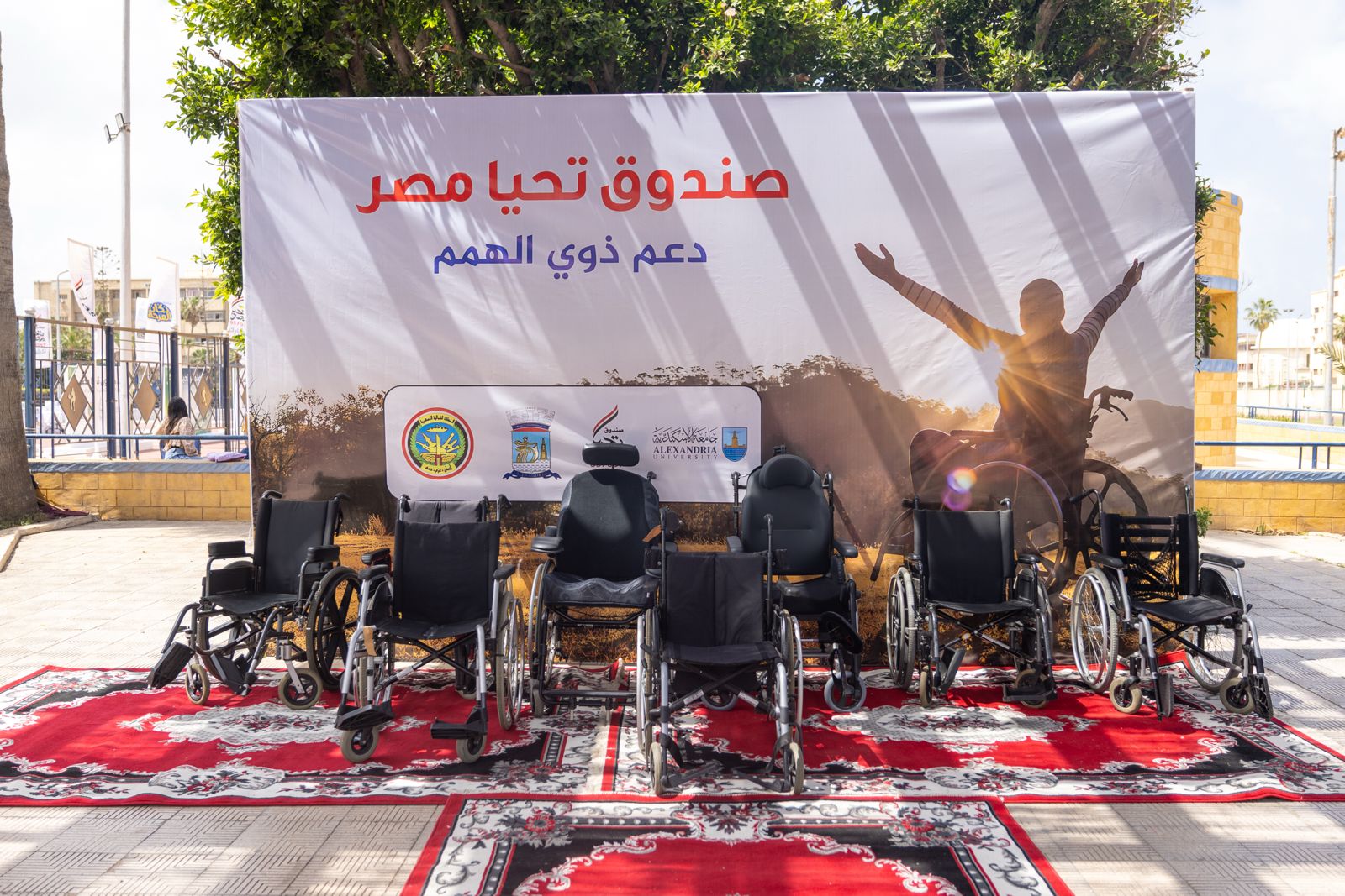 WhatsApp Image 2026 04 20 at 15.05.55 2