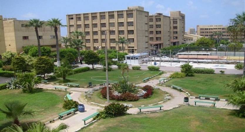 الدكتورة هبه صبري سلامة عميدًا لكلية الزراعة