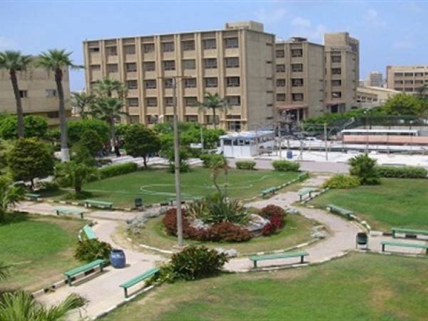 الدكتورة هبه صبري سلامة عميدًا لكلية الزراعة